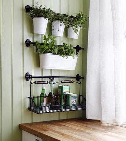 hierbas-plantas